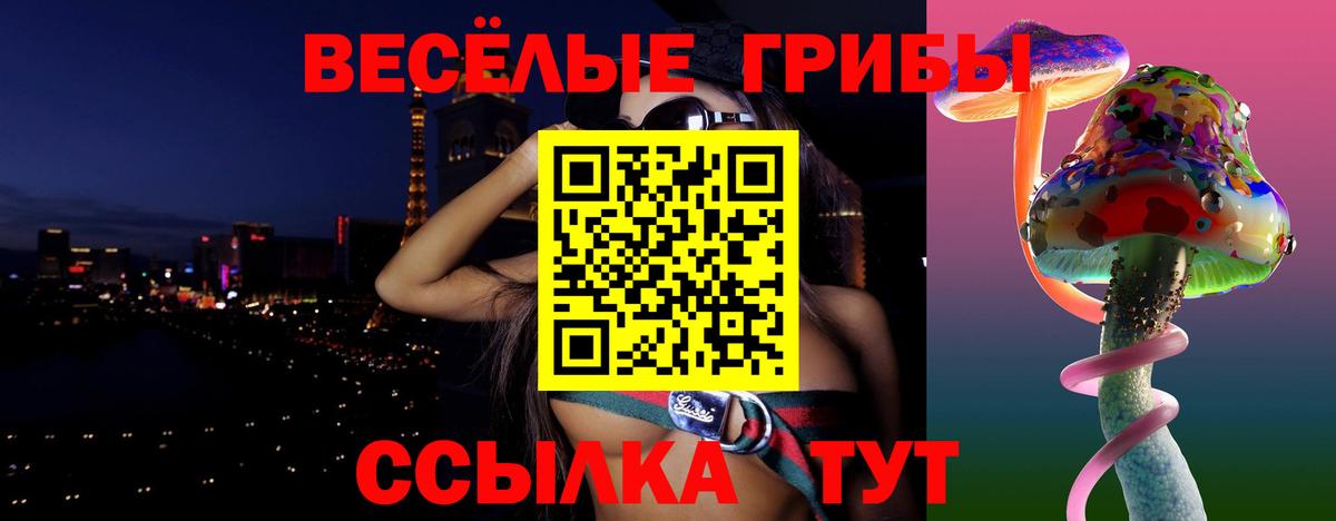 Керчь  Галлюциногенные грибы GOLDEN TEACHER  Вход с VPN 